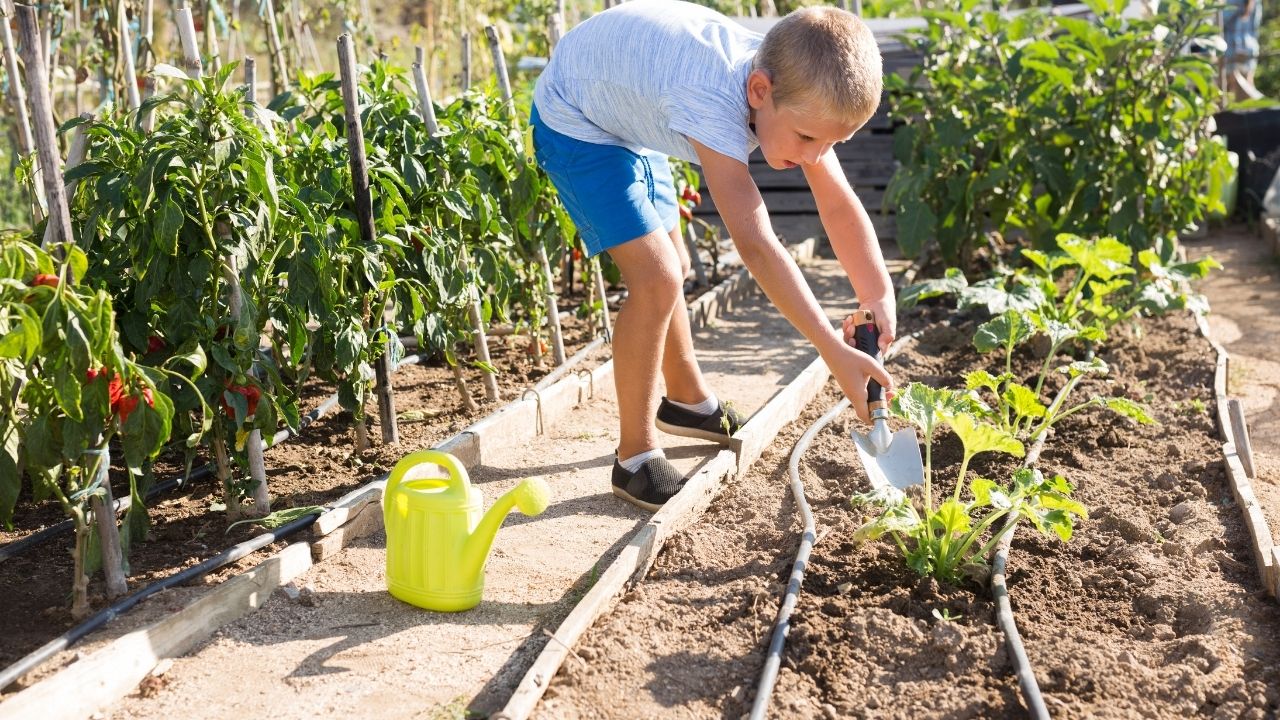 çocuklar için tehlikeli olmayan bahçe aletleri